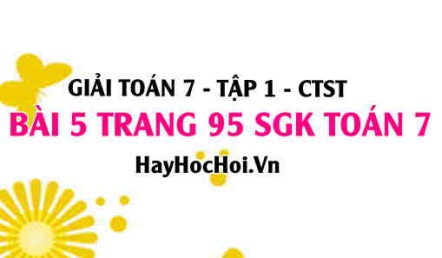 Giải bài 5 trang 95 Toán 7 Tập 1 SGK Chân trời sáng tạo